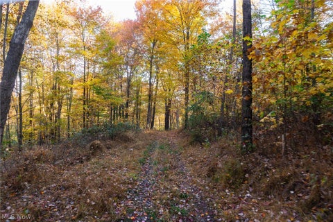 Tiny photo for 2880 Mt Herman Road, Granville, OH 43023 (MLS # 5256322)