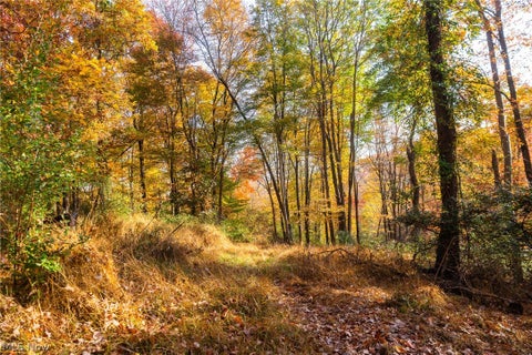 Tiny photo for 2880 Mt Herman Road, Granville, OH 43023 (MLS # 5256322)