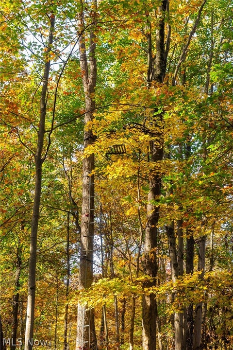 Tiny photo for 2880 Mt Herman Road, Granville, OH 43023 (MLS # 5256322)