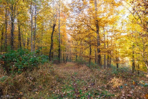 Tiny photo for 2880 Mt Herman Road, Granville, OH 43023 (MLS # 5256322)