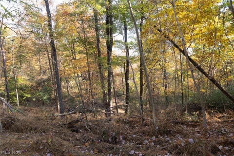 Tiny photo for 2880 Mt Herman Road, Granville, OH 43023 (MLS # 5256322)