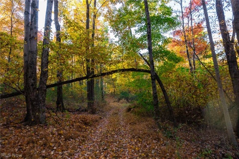 Tiny photo for 2880 Mt Herman Road, Granville, OH 43023 (MLS # 5256322)