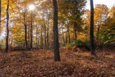 Tiny photo for 2880 Mt Herman Road, Granville, OH 43023 (MLS # 5256322)