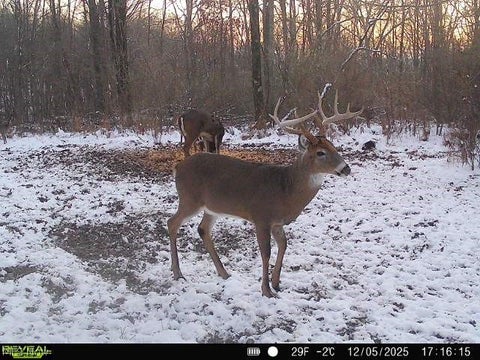 Tiny photo for 2880 Mt Herman Road, Granville, OH 43023 (MLS # 5256322)