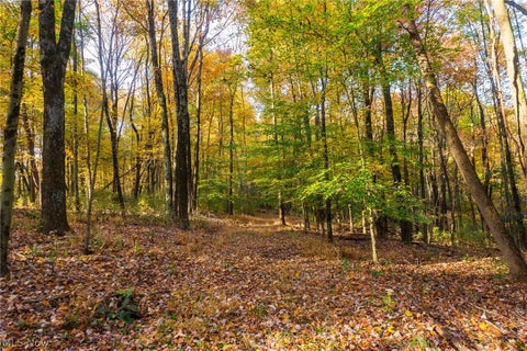 Tiny photo for 2880 Mt Herman Road, Granville, OH 43023 (MLS # 5256322)