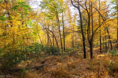 Tiny photo for 2880 Mt Herman Road, Granville, OH 43023 (MLS # 5256322)