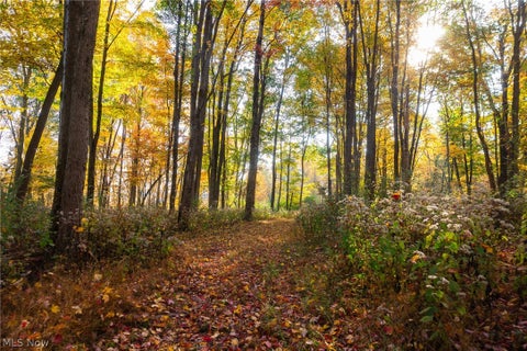 Tiny photo for 2880 Mt Herman Road, Granville, OH 43023 (MLS # 5256322)