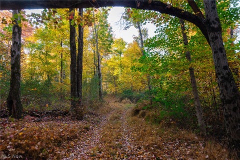 Tiny photo for 2880 Mt Herman Road, Granville, OH 43023 (MLS # 5256322)
