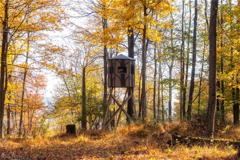 Tiny photo for 2880 Mt Herman Road, Granville, OH 43023 (MLS # 5256322)