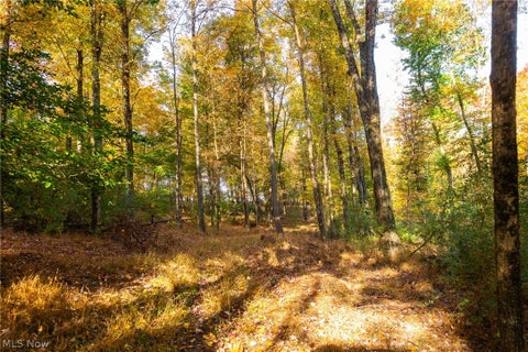 Tiny photo for 2880 Mt Herman Road, Granville, OH 43023 (MLS # 5256322)