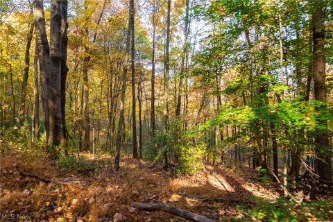 Tiny photo for 2880 Mt Herman Road, Granville, OH 43023 (MLS # 5256322)