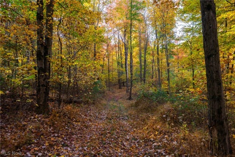 Tiny photo for 2880 Mt Herman Road, Granville, OH 43023 (MLS # 5256322)