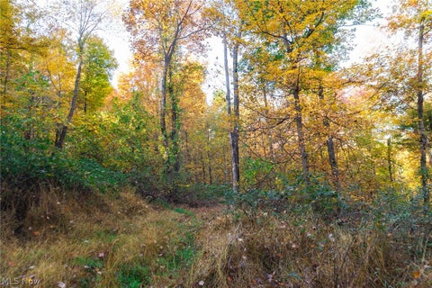Tiny photo for 2880 Mt Herman Road, Granville, OH 43023 (MLS # 5256322)