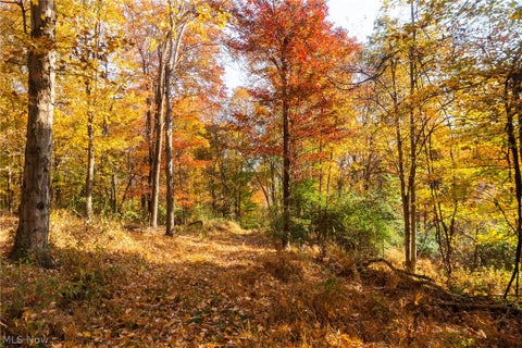Tiny photo for 2880 Mt Herman Road, Granville, OH 43023 (MLS # 5256322)