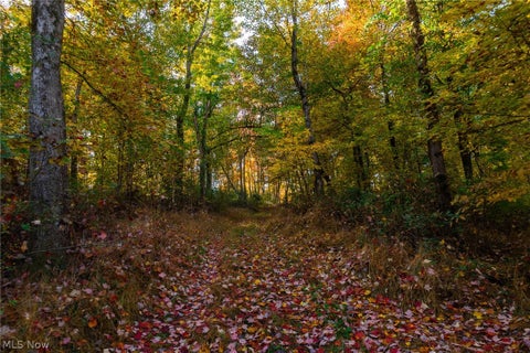 Tiny photo for 2880 Mt Herman Road, Granville, OH 43023 (MLS # 5256322)