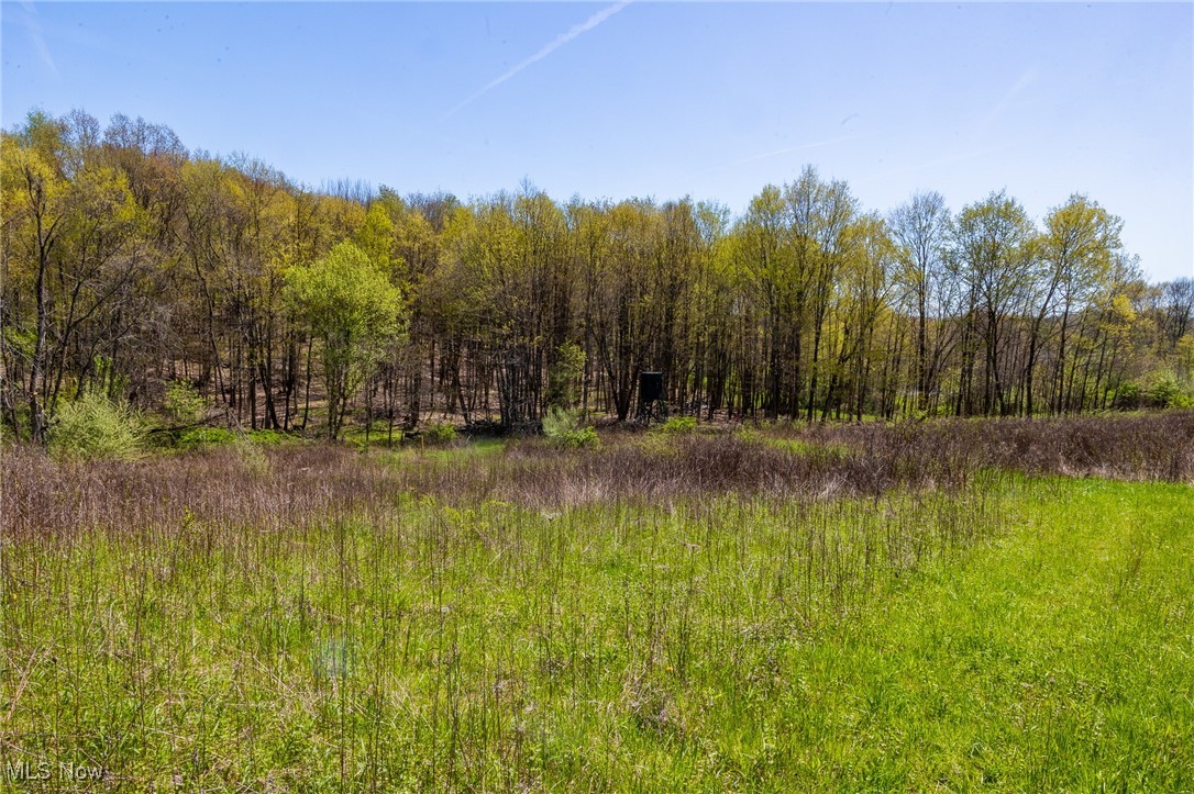 1071 Township Road 2375, Perrysville, Ohio image 9