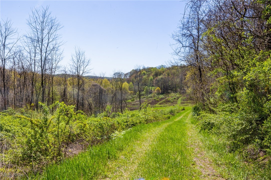 1071 Township Road 2375, Perrysville, Ohio image 4