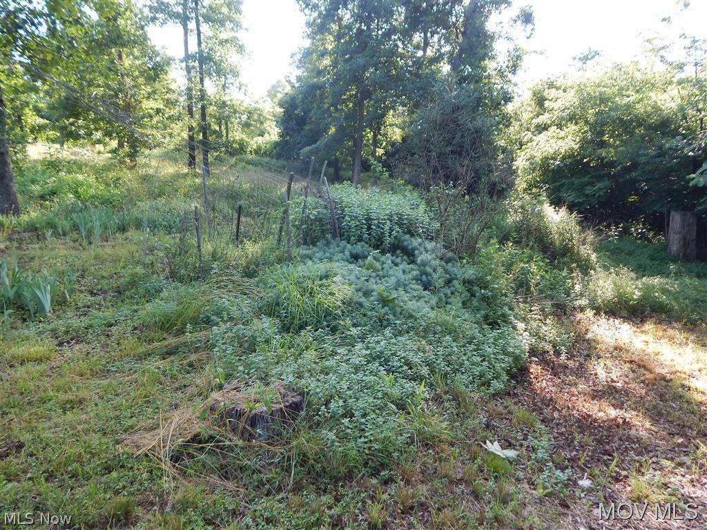 Tunnel Heights - Residential