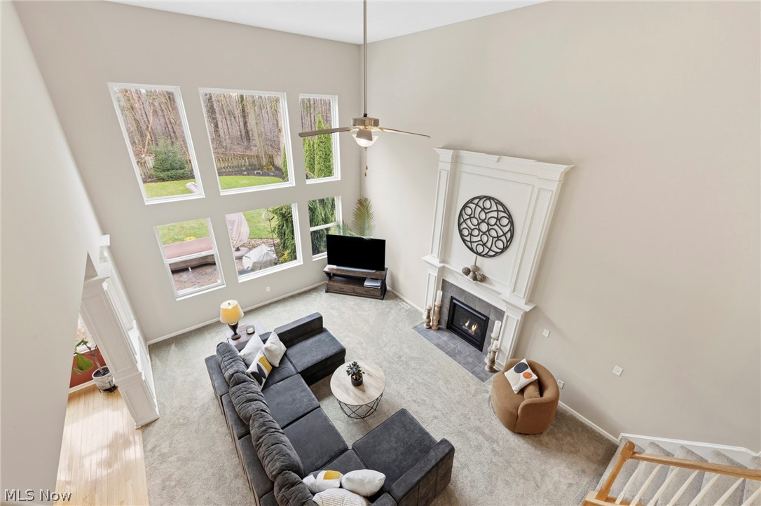 Braemore - Residential