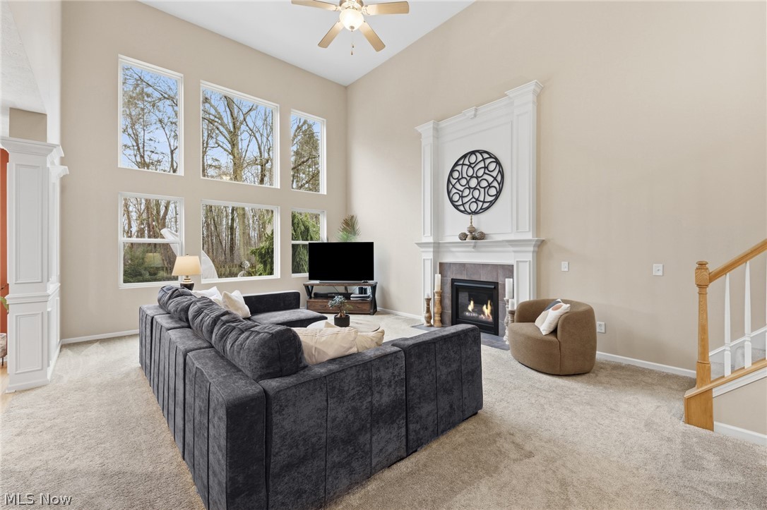 Braemore - Residential