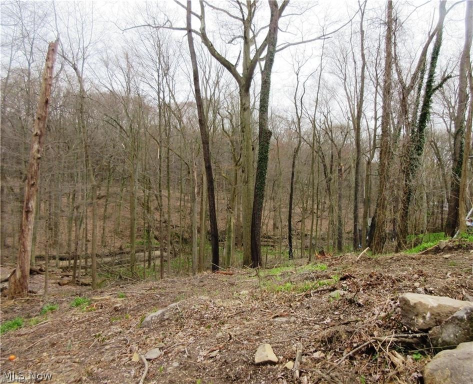 Looking for a gorgeous, natural setting to build your perfect house on? This lot is 1.7 acres in the heart of Stow, you can walk to shopping, restaurants, and ice cream, all just sound the corner from your new home, but feels far away from it all! You will have easy access to anywhere from here. If you love the outdoors, this nature filled serene lot offers you hiking/walking trails in your own back yard, on your own property. This is a long time, well established area with lots of mature trees. Your home building plans may have a walk-out lower level on the lot. The back of the land adjoins Adell Durbin Park! Relax in your home as you watch the beauty of nature right from inside your house. The lot can be equipped with city water and sewer, gas and electric. There is also a stream/creek and wooded bluffs in your backyard. This quiet and scenic lot will be sure to please the outdoor lovers!