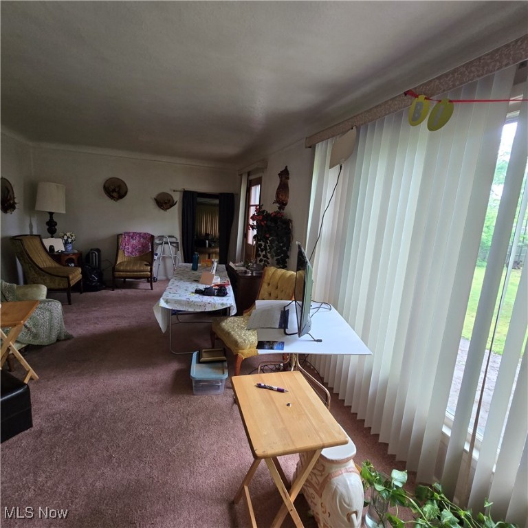 1669 Wood Road, Cleveland Heights, Ohio image 4