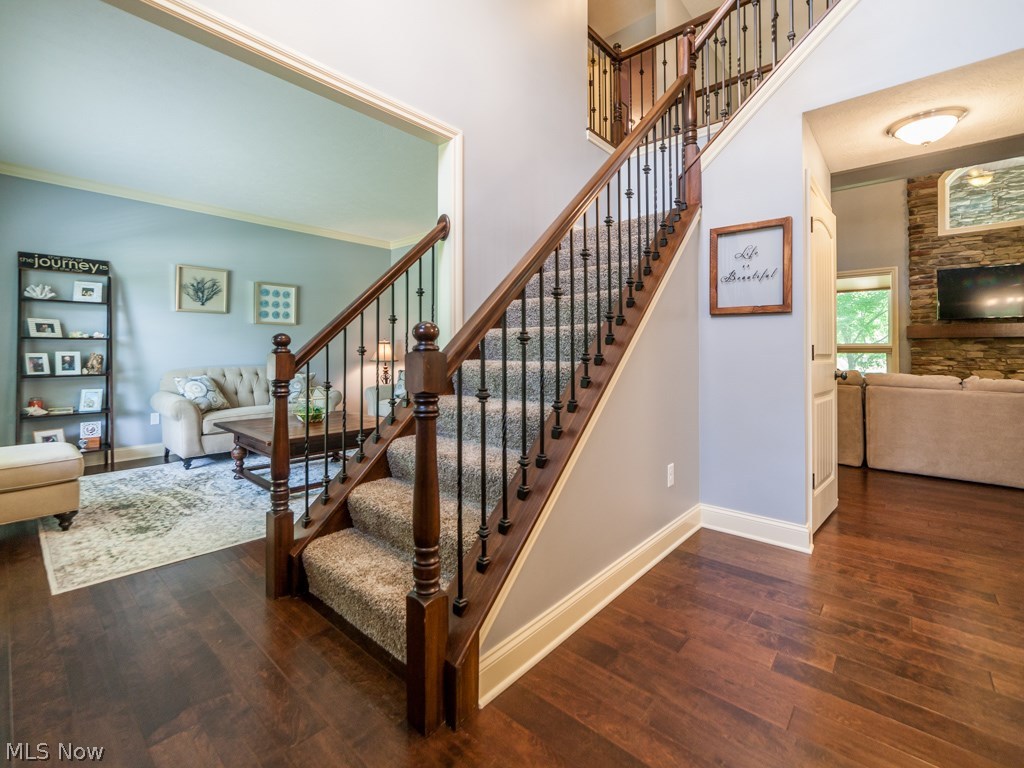 Red Tail 03 - Residential