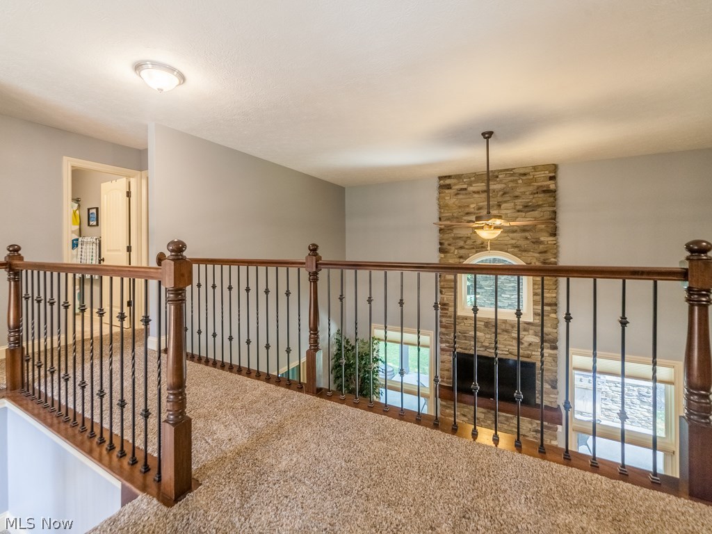 Red Tail 03 - Residential