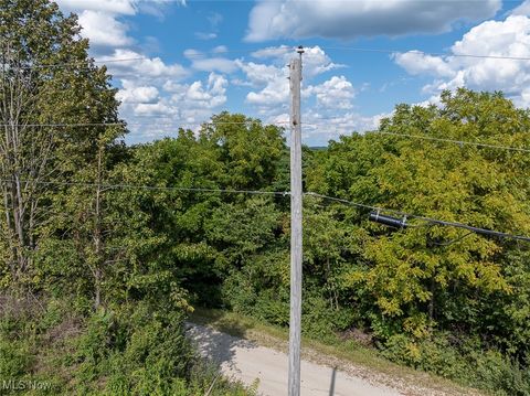 Tiny photo for 0 Rado Ridge Rd, Caldwell, OH 43724 (MLS # 5157805)