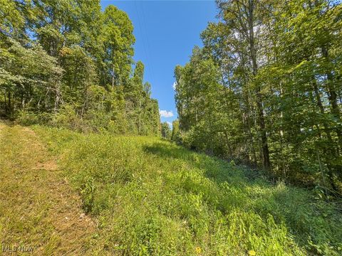 Tiny photo for 0 Rado Ridge Rd, Caldwell, OH 43724 (MLS # 5157805)