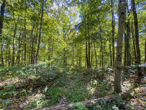 Tiny photo for 0 Rado Ridge Rd, Caldwell, OH 43724 (MLS # 5157805)