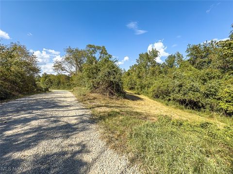Tiny photo for 0 Rado Ridge Rd, Caldwell, OH 43724 (MLS # 5157805)