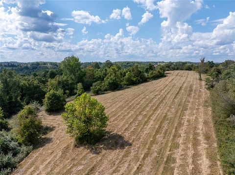 Tiny photo for 0 Rado Ridge Rd, Caldwell, OH 43724 (MLS # 5157805)