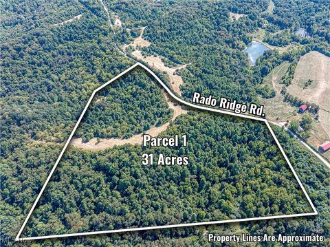 Tiny photo for 0 Rado Ridge Rd, Caldwell, OH 43724 (MLS # 5157805)