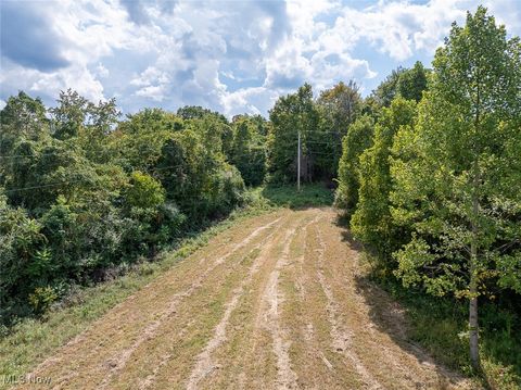 Tiny photo for 0 Rado Ridge Rd, Caldwell, OH 43724 (MLS # 5157805)