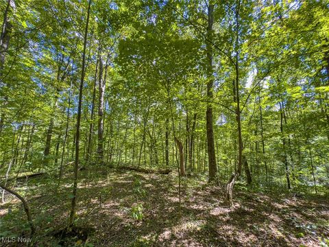 Tiny photo for 0 Rado Ridge Rd, Caldwell, OH 43724 (MLS # 5157805)