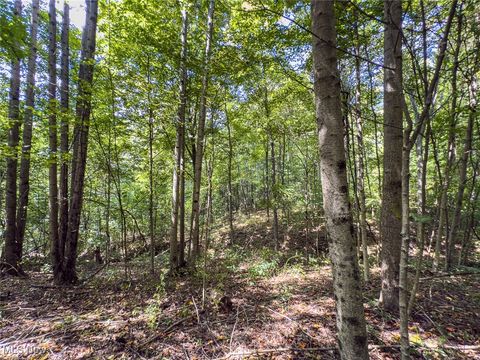 Tiny photo for 0 Rado Ridge Rd, Caldwell, OH 43724 (MLS # 5157805)