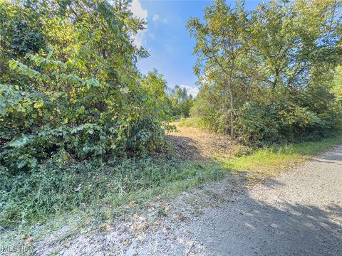 Tiny photo for 0 Rado Ridge Rd, Caldwell, OH 43724 (MLS # 5157805)