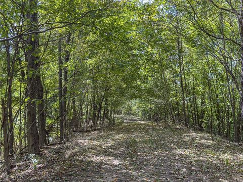 Tiny photo for 0 Rado Ridge Rd, Caldwell, OH 43724 (MLS # 5157805)
