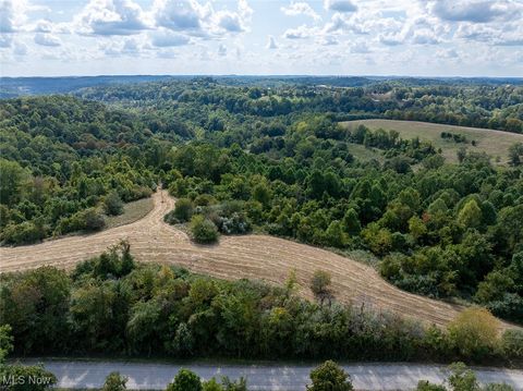 Tiny photo for 0 Rado Ridge Rd, Caldwell, OH 43724 (MLS # 5157805)