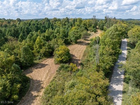 Tiny photo for 0 Rado Ridge Rd, Caldwell, OH 43724 (MLS # 5157805)