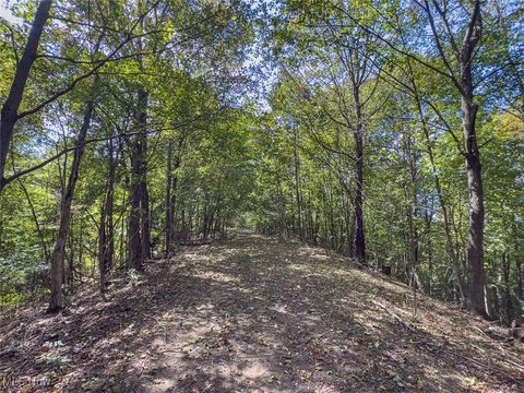 Tiny photo for 0 Rado Ridge Rd, Caldwell, OH 43724 (MLS # 5157805)