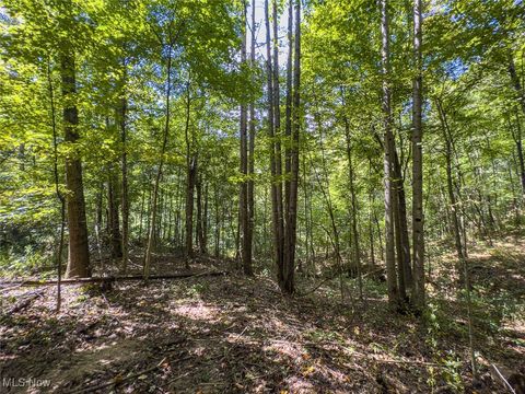 Tiny photo for 0 Rado Ridge Rd, Caldwell, OH 43724 (MLS # 5157805)