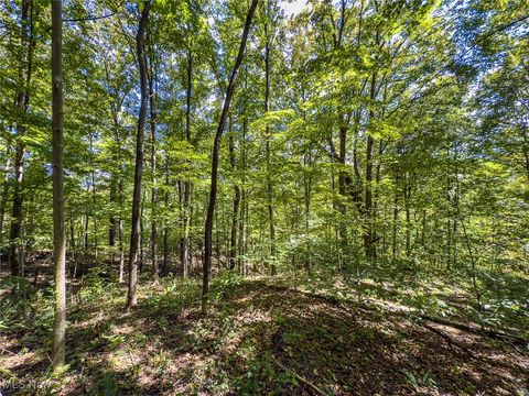 Tiny photo for 0 Rado Ridge Rd, Caldwell, OH 43724 (MLS # 5157805)