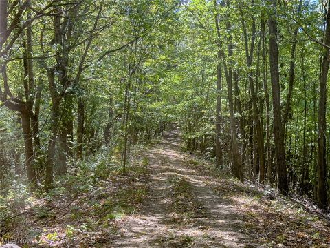 Tiny photo for 0 Rado Ridge Rd, Caldwell, OH 43724 (MLS # 5157805)