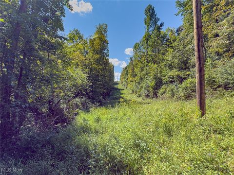 Tiny photo for 0 Rado Ridge Rd, Caldwell, OH 43724 (MLS # 5157805)
