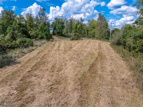 Tiny photo for 0 Rado Ridge Rd, Caldwell, OH 43724 (MLS # 5157805)