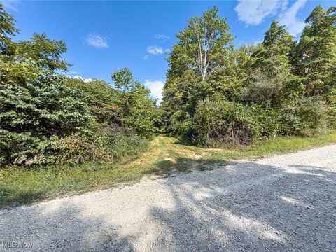 Tiny photo for 0 Rado Ridge Rd, Caldwell, OH 43724 (MLS # 5157805)