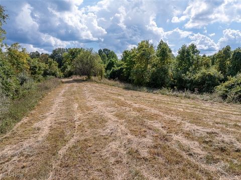 Tiny photo for 0 Rado Ridge Rd, Caldwell, OH 43724 (MLS # 5157805)
