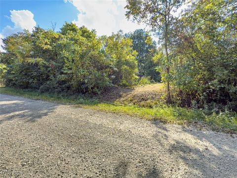 Tiny photo for 0 Rado Ridge Rd, Caldwell, OH 43724 (MLS # 5157805)